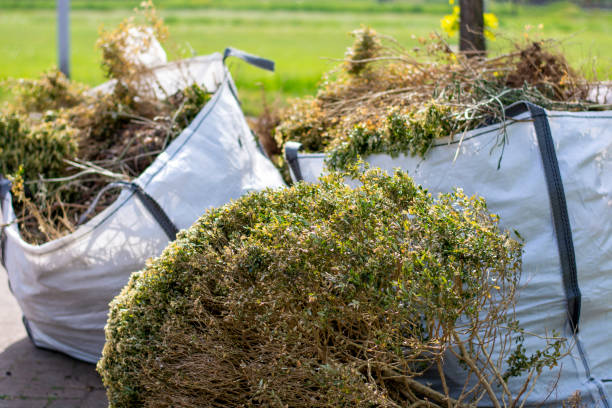 Best Shed Removal  in Lewisburg, OH